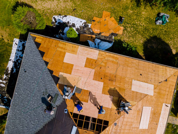 Best Local Roofing Companies  in Montgomery, IN